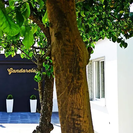 Vut Gandarela Apartment Sanxenxo
